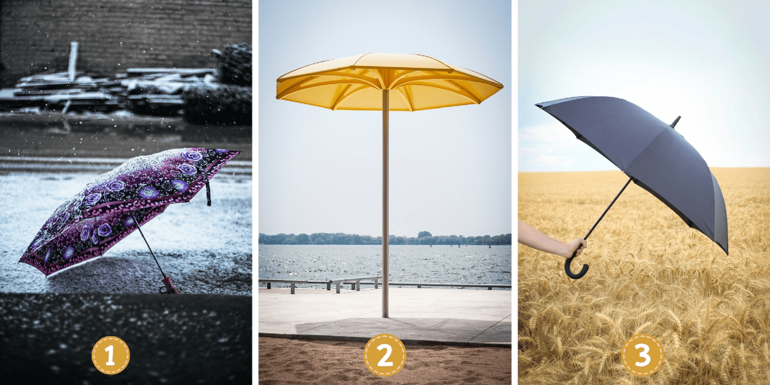 Personality test: Which umbrella do you choose? Find out whether you have a competitive or cooperative spirit behind your choice!