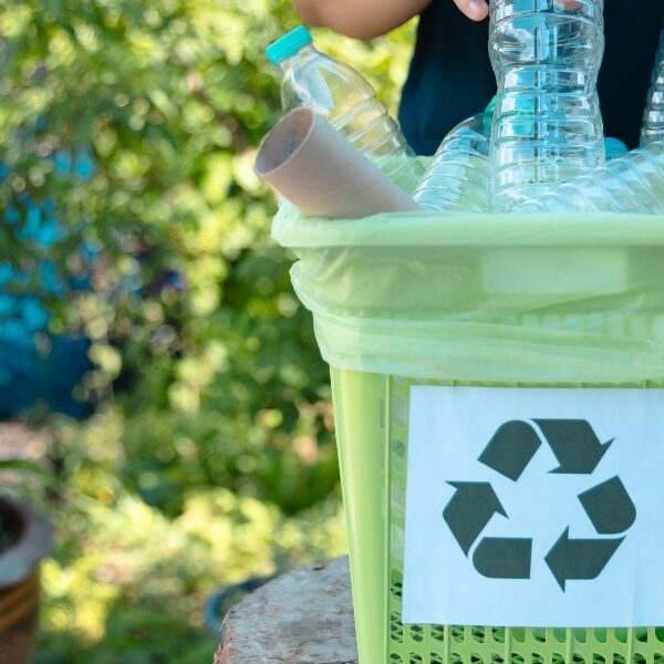 Reducing waste: practical strategies for sustainable living