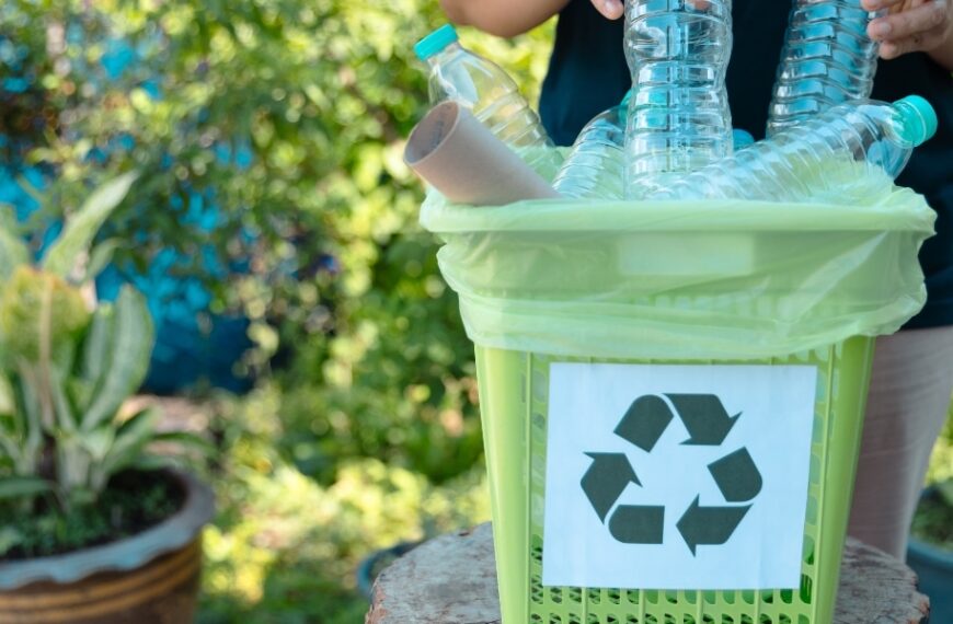 Reducing waste: practical strategies for sustainable living