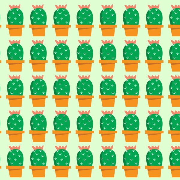 Défi visuel : saurez-vous déjouer ce casse-tête épineux et découvrir l'intrus caché parmi les cactus en moins de 10 secondes ?