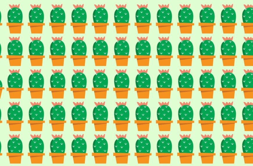 Défi visuel : saurez-vous déjouer ce casse-tête épineux et découvrir l'intrus caché parmi les cactus en moins de 10 secondes ?