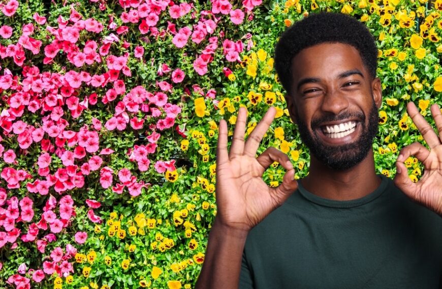 5 plantes grimpantes incontournables pour habiller votre clôture avec élégance