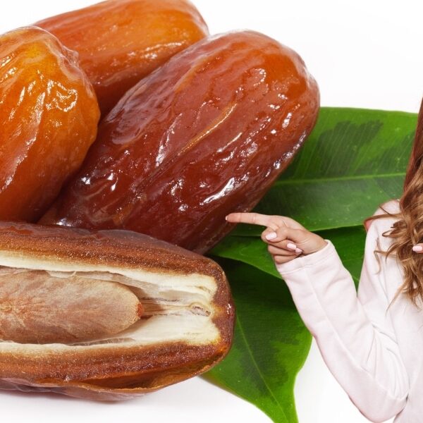 Cultiver l'exotisme chez soi : la métamorphose d'un noyau de datte en une magnifique plante