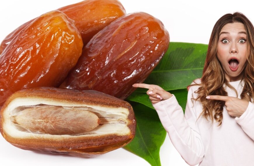 Cultiver l'exotisme chez soi : la métamorphose d'un noyau de datte en une magnifique plante