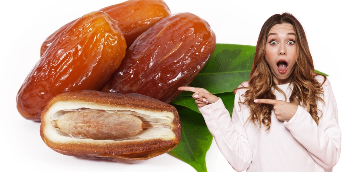 Cultiver l'exotisme chez soi : la métamorphose d'un noyau de datte en une magnifique plante