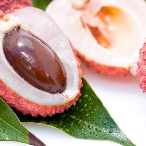 Cultiver un litchi chez soi : de la patience à l'exotisme dans votre jardin de 2025