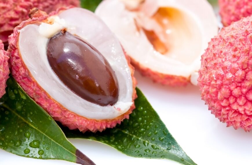 Cultiver un litchi chez soi : de la patience à l'exotisme dans votre jardin de 2025