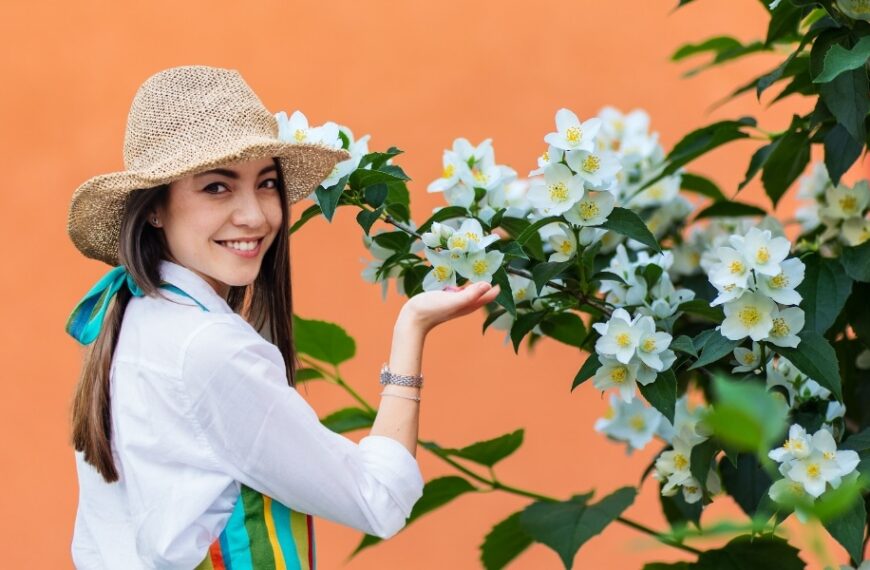 Cultiver le jasmin parfait : les meilleurs conseils pour planter et entretenir cette fleur envoûtante