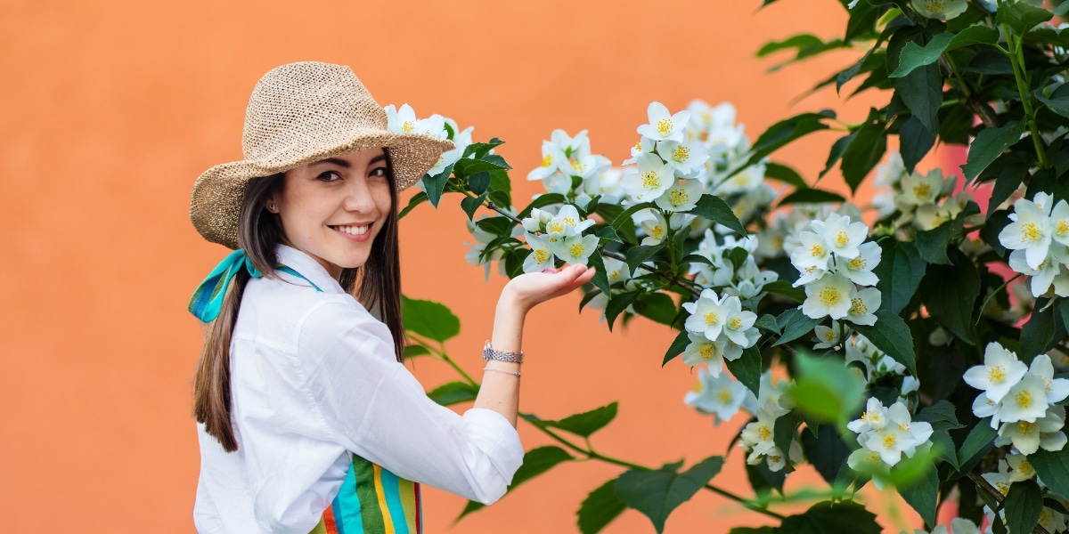 Cultiver le jasmin parfait : les meilleurs conseils pour planter et entretenir cette fleur envoûtante