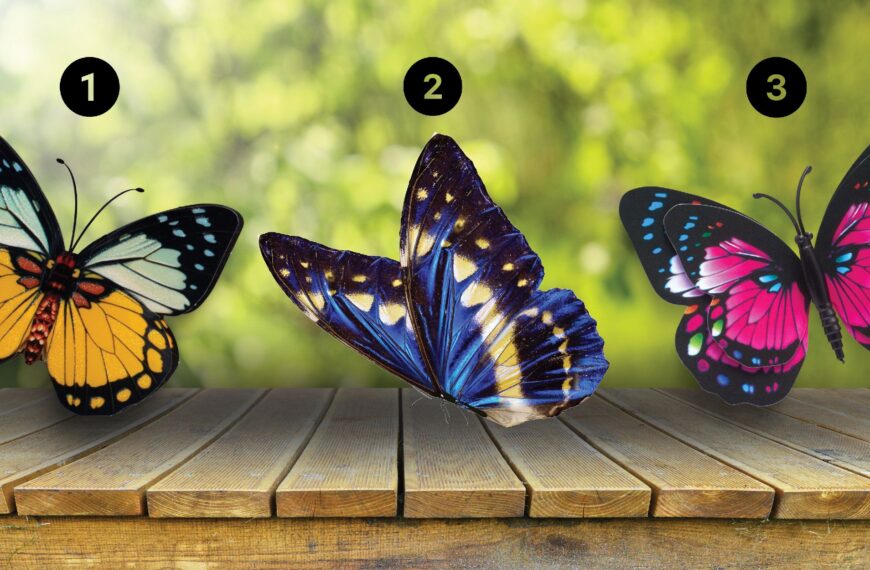 Test de personnalité : Quel papillon vous attire le plus ? Découvrez si vous êtes un rêveur, un réaliste ou un analyste avec notre test captivant !