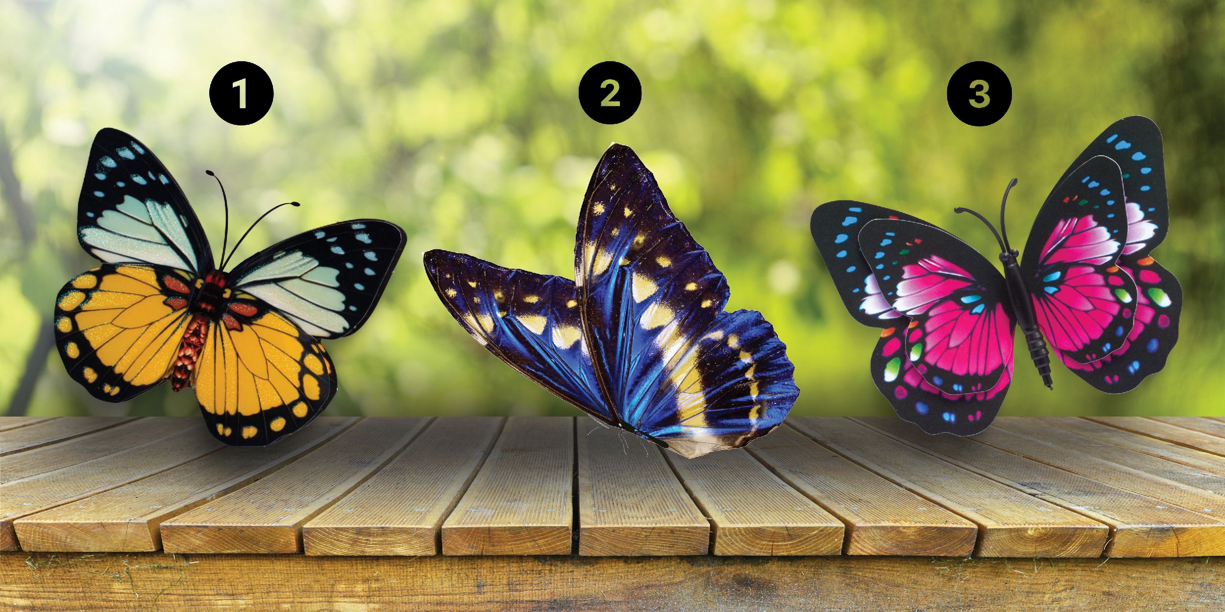Test de personnalité : Quel papillon vous attire le plus ? Découvrez si vous êtes un rêveur, un réaliste ou un analyste avec notre test captivant !