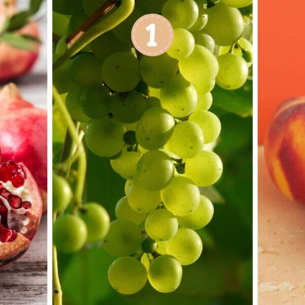Test de personnalité : Quel fruit êtes-vous vraiment ? Choisissez parmi ces 3 et révélez votre nature ludique, structurée ou contemplative !