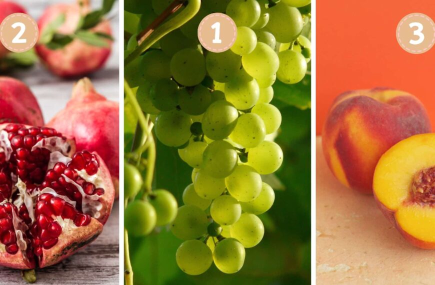 Test de personnalité : Quel fruit êtes-vous vraiment ? Choisissez parmi ces 3 et révélez votre nature ludique, structurée ou contemplative !