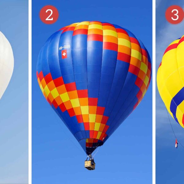 Test de personnalité : À quelle montgolfière vous identifiez-vous ? Découvrez et libérez votre nature nourricière, solidaire ou encourageante !