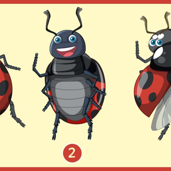 Test de personnalité : Quelle coccinelle vous attire le plus ? Révélez l'harmonie entre votre carrière et votre vie intime !