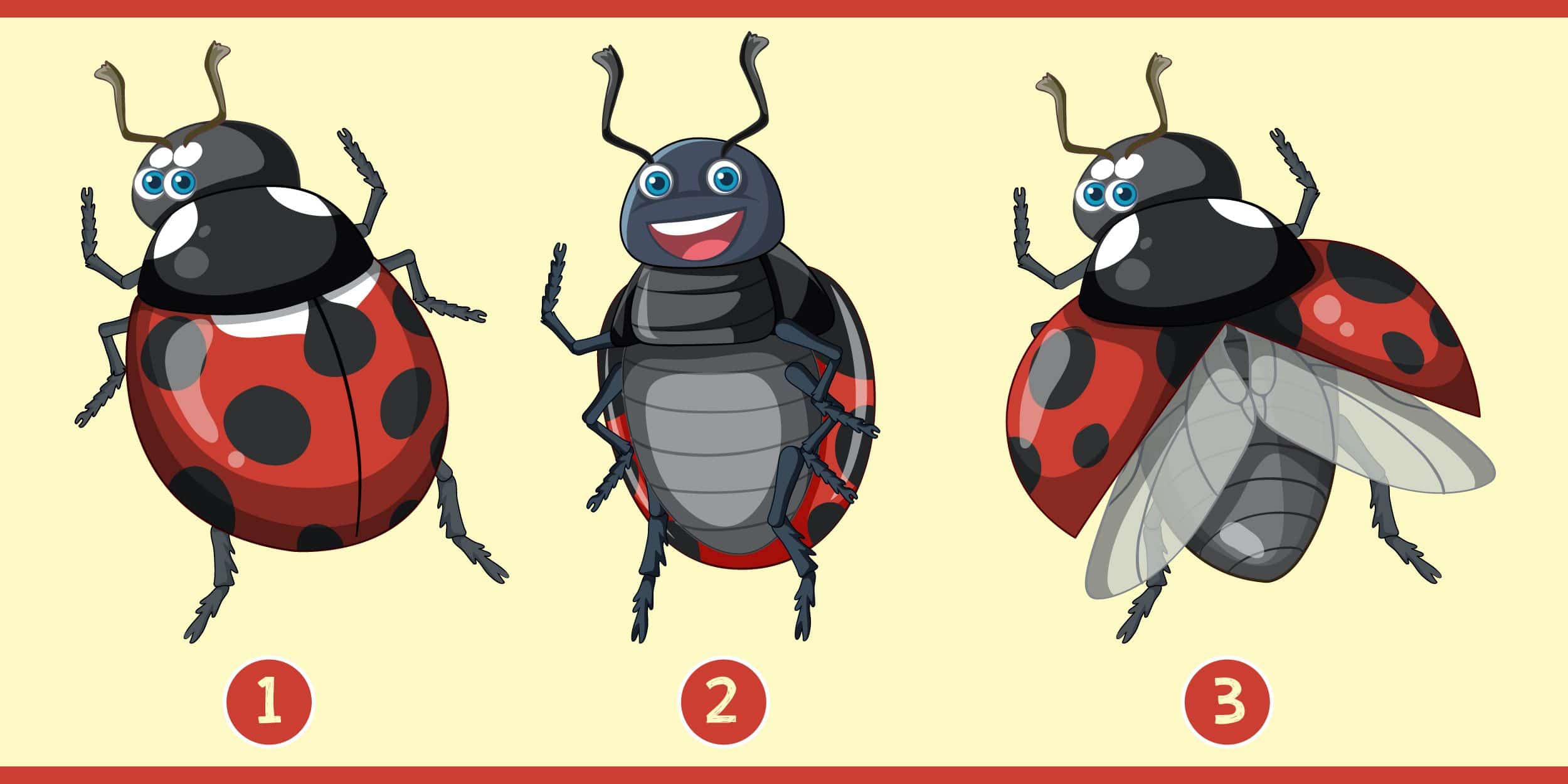 Test de personnalité : Quelle coccinelle vous attire le plus ? Révélez l'harmonie entre votre carrière et votre vie intime !