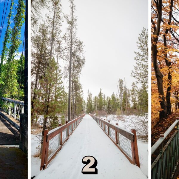 Test de personnalité : Quel pont choisiriez-vous de traverser parmi ces 3 ? Votre sélection dévoile votre rapport secret aux nouvelles technologies ! Découvrez-le maintenant !