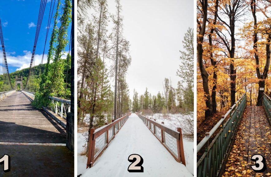 Test de personnalité : Quel pont choisiriez-vous de traverser parmi ces 3 ? Votre sélection dévoile votre rapport secret aux nouvelles technologies ! Découvrez-le maintenant !