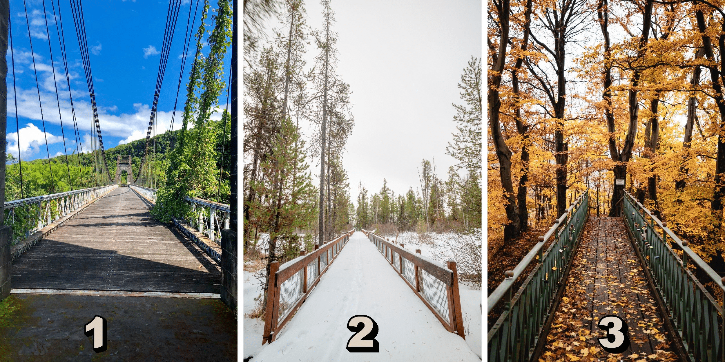 Personality test: Which of these 3 bridges would you choose to cross? Your selection reveals your secret relationship with new technologies! Find out now!
