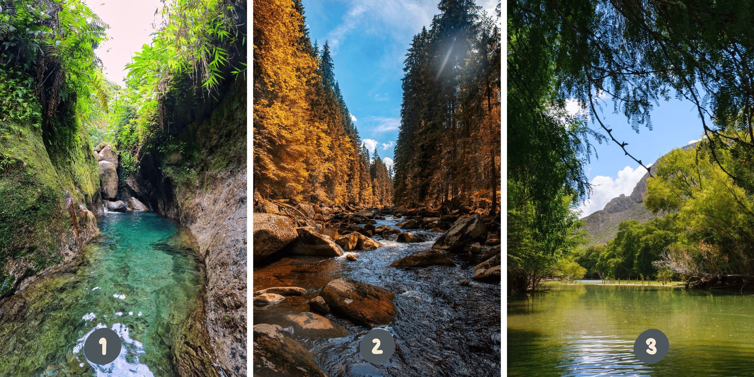 Personality test: Your choice among these 3 rivers reveals your balance between duty and pleasure! Discover yourself now.