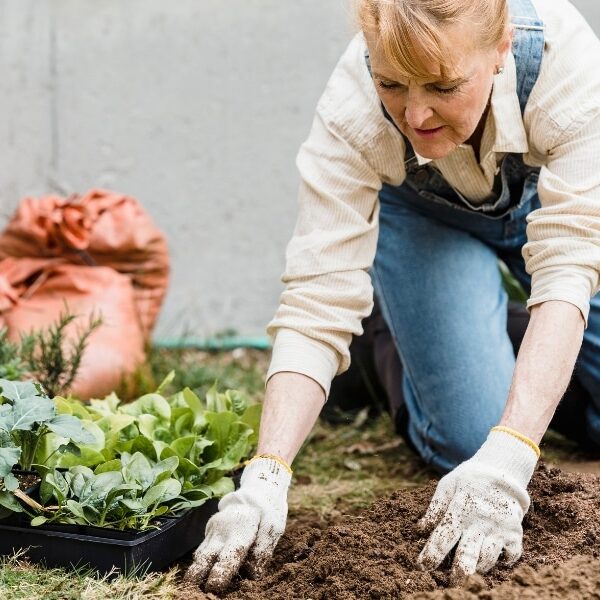 Preparing your garden for winter: essential tips and techniques