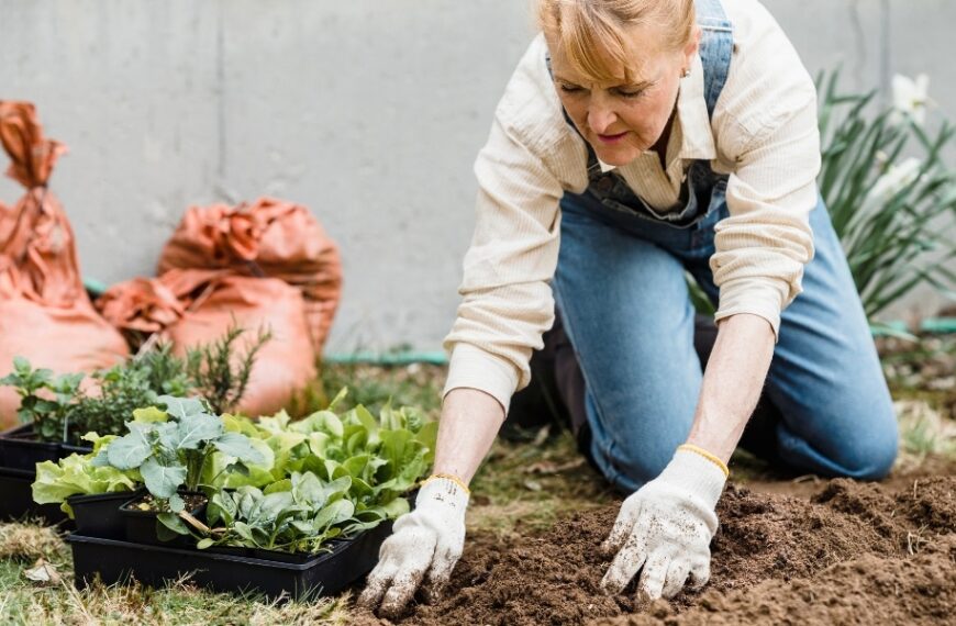 Preparing your garden for winter: essential tips and techniques