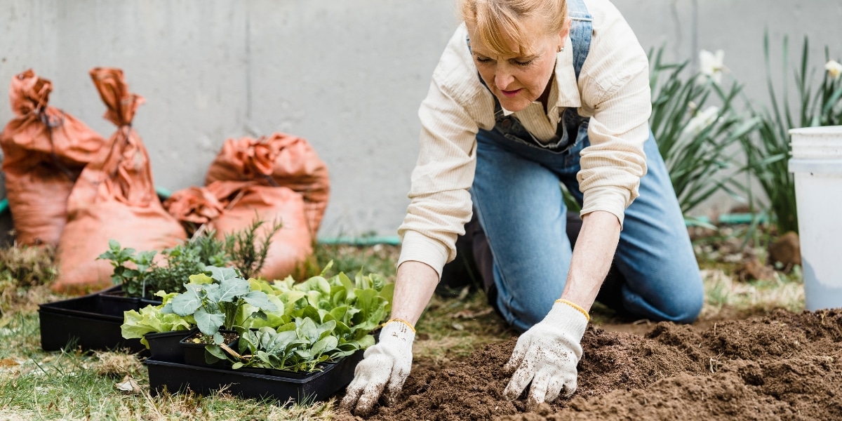 Preparing your garden for winter: essential tips and techniques