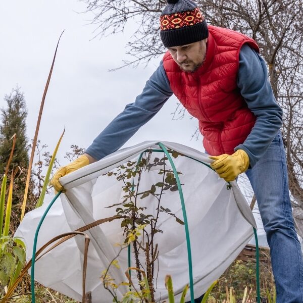 Preparing your garden for winter: tips and tricks