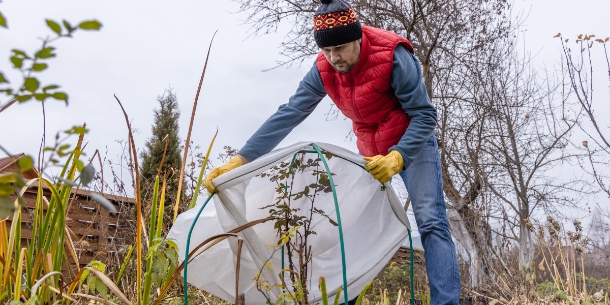 Preparing your garden for winter: tips and tricks