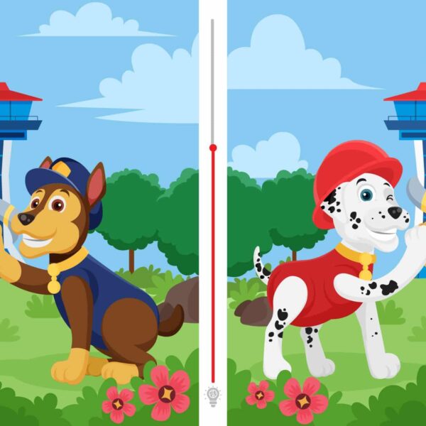 Défi visuel : saurez-vous déceler les trois différences  en un clin d'œil ? Testez votre sens de l'observation et relevez le challenge en moins de 5 secondes !
