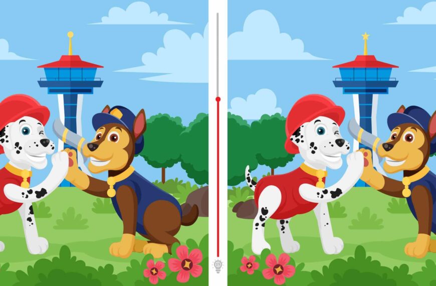 Défi visuel : saurez-vous déceler les trois différences  en un clin d'œil ? Testez votre sens de l'observation et relevez le challenge en moins de 5 secondes !