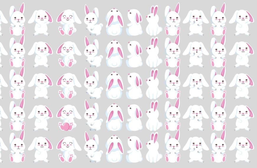 Défi visuel : plongez dans une aventure captivante où foisonnent les lapins et découvrez si vous pouvez repérer l'œuf astucieusement dissimulé en moins de 15 secondes ! Saurez-vous relever le challenge ?