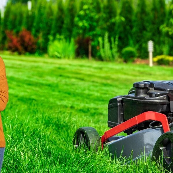 Erreur fatale de jardinage : négliger la tonte en hiver peut ruiner votre espace vert