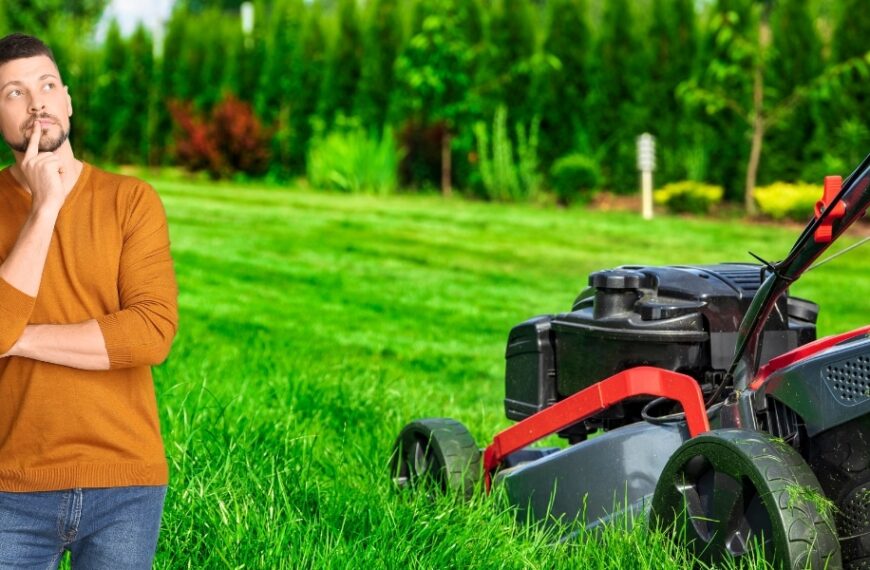 Erreur fatale de jardinage : négliger la tonte en hiver peut ruiner votre espace vert
