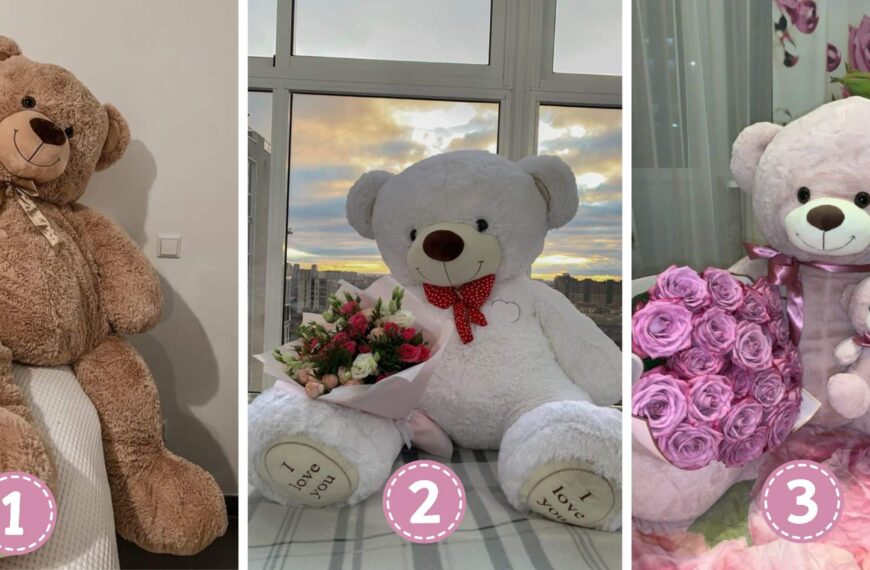 Test de personnalité : Quel ours en peluche êtes-vous au travail ? Choisissez et révélez votre style professionnel unique !