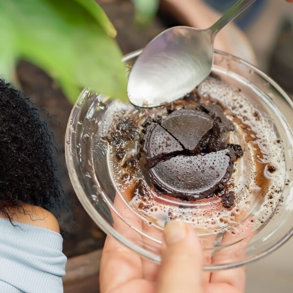 Utilisation astucieuse du marc de café pour des plantes plus vigoureuses - Découvrez comment !