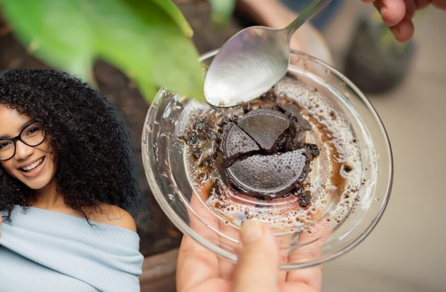 Utilisation astucieuse du marc de café pour des plantes plus vigoureuses - Découvrez comment !