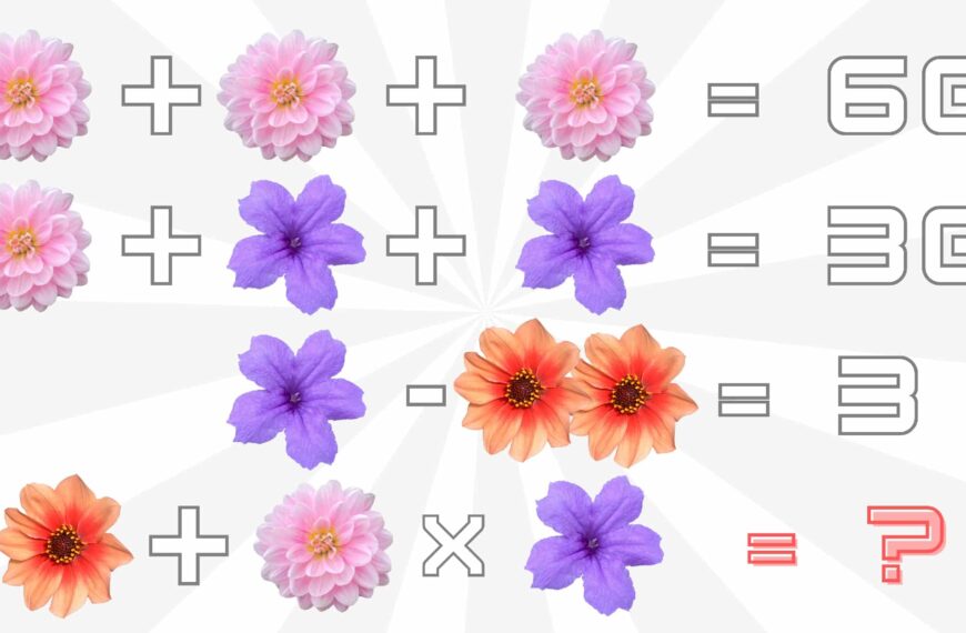 Défi visuel :  Testez votre esprit mathématique en résolvant ces équations où chaque fleur cache une valeur à découvrir en mois de 10 secondes !
