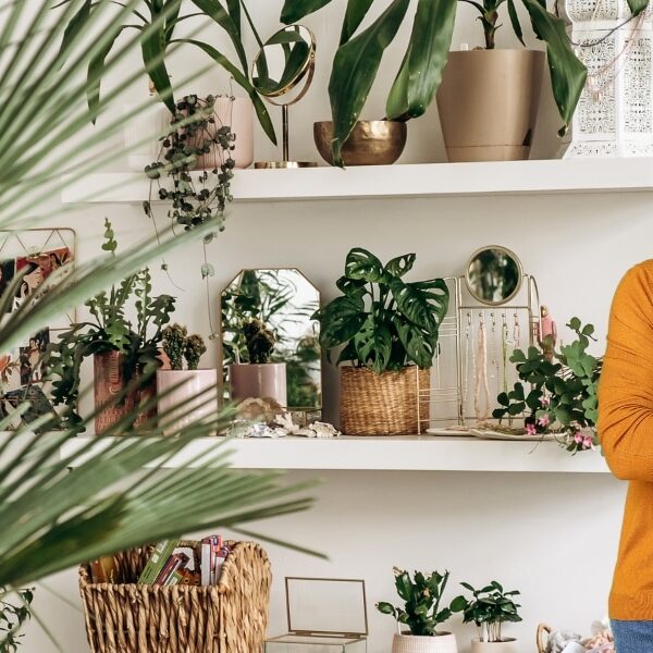 Rituel hivernal pour plantes d'intérieur : redonnez-leur de la vigueur et de la joie
