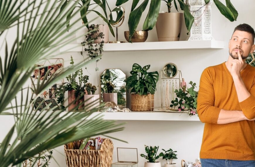 Rituel hivernal pour plantes d'intérieur : redonnez-leur de la vigueur et de la joie