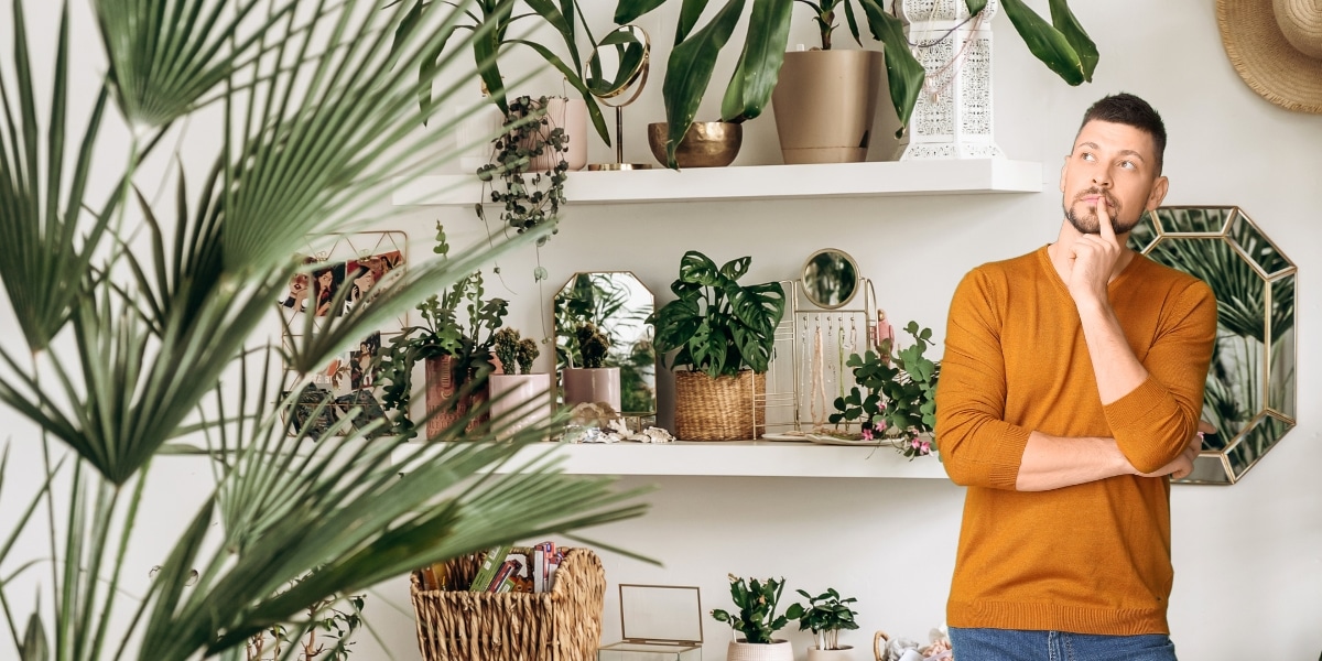 Rituel hivernal pour plantes d'intérieur : redonnez-leur de la vigueur et de la joie